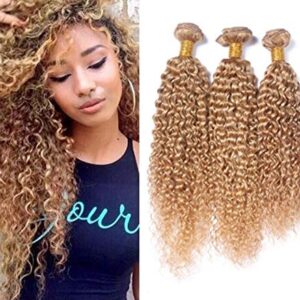 3 Bundles of Honey Blonde Brazilian Curly Hair Kinkys Curly Human Hair CD103